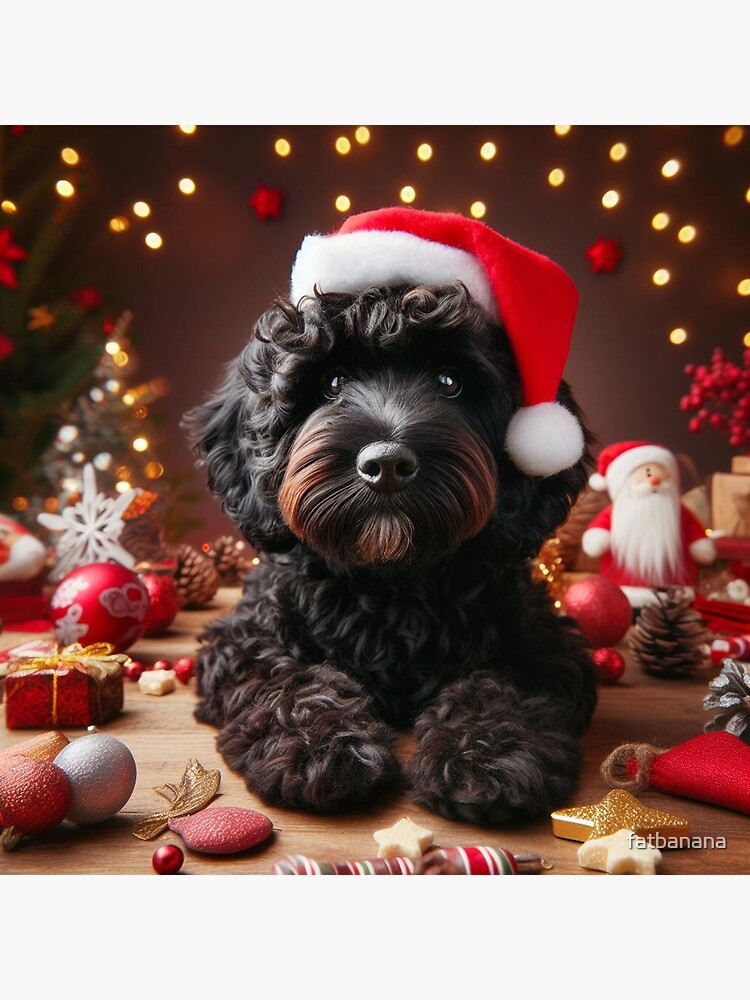 black cockapoo christmas decoration