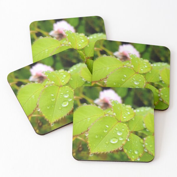 Item preview, The Raindrops designed and sold by ellie-irl.