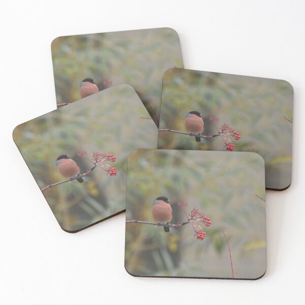 Item preview, Bullfinch with berries designed and sold by Alison Stevens.