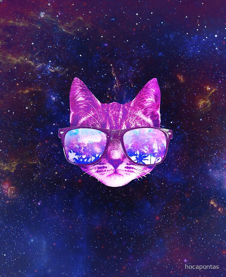 cat and galaxy