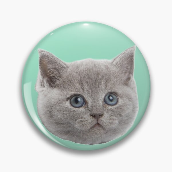 Item preview, British shorthair Kitten designed and sold by EMMonovi.