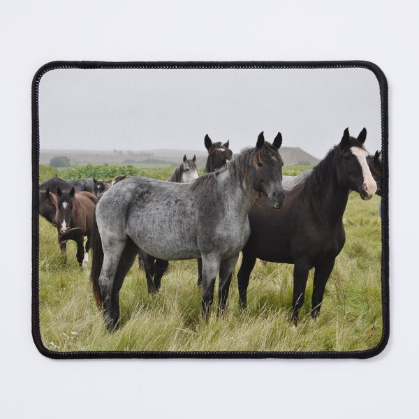 Item preview, Wild Herd designed and sold by HeartHerd.