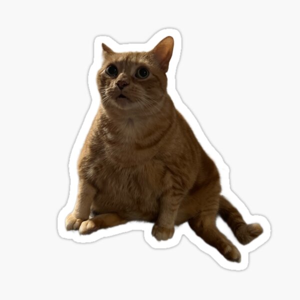 huh cat meme viral huh? meme Sticker for Sale by joy4shirt