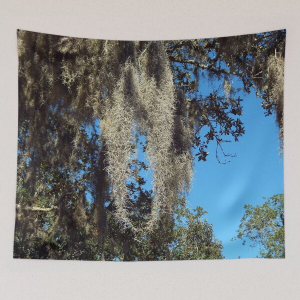 Item preview, Spanish Moss on a Clear Fall Day designed and sold by gistinker.