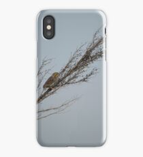 Bird sitting on branch iPhone Case/Skin