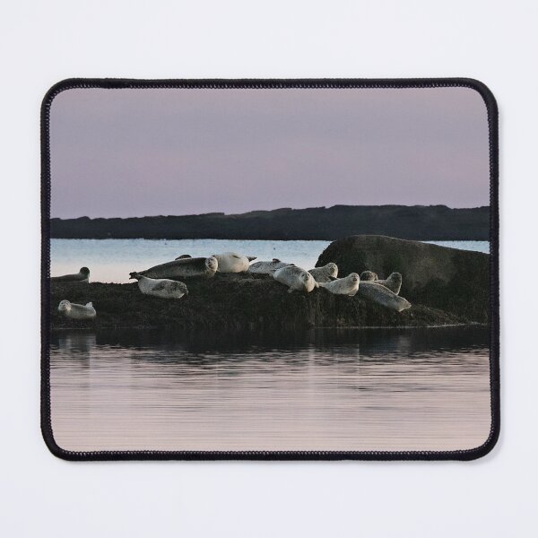 Item preview, Seals at Sunset at Goose Rocks Beach designed and sold by ArborMythica .
