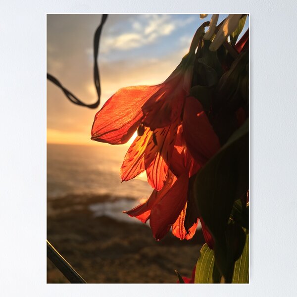Item preview, the sunset was swallowed by a flower designed and sold by Anna Barrett.