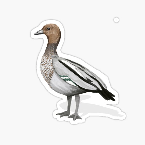 Item preview, Australian Wood Duck  designed and sold by Juliet Raines.