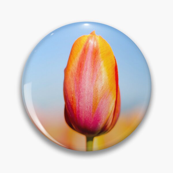 Artikelvorschau, Tulpe aus dem Skagit Valley, Washington entworfen und verkauft von TheSeaWolf.