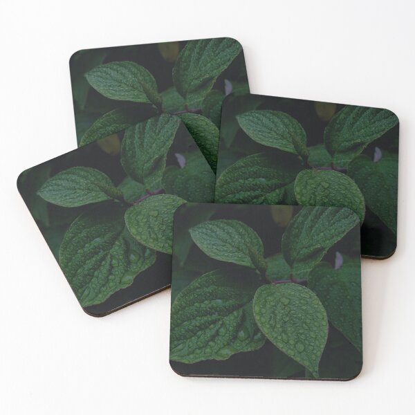 Item preview, Leaves and plants designed and sold by Ritacaloe.