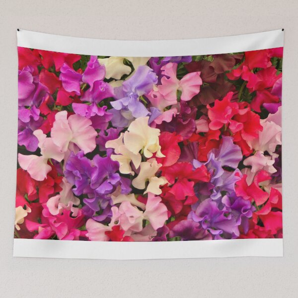 Item preview, Stunning sweet pea flowers in bloom designed and sold by FranWest.
