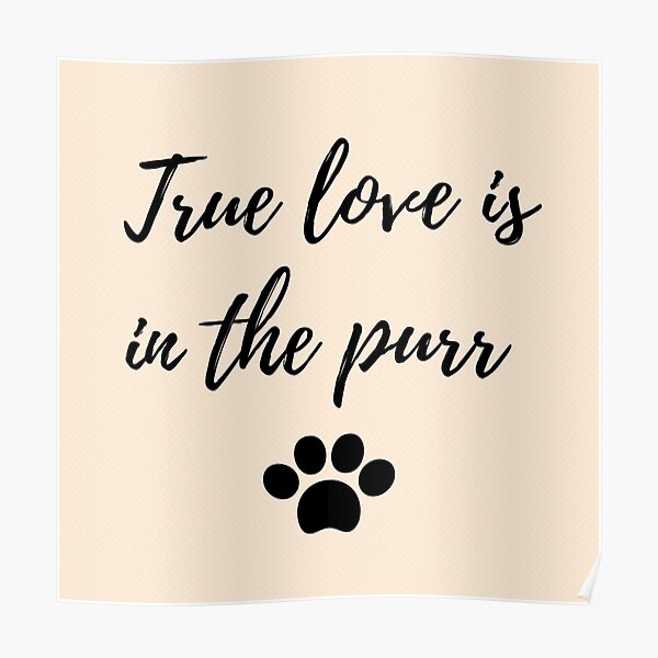 True love is in the purr Poster