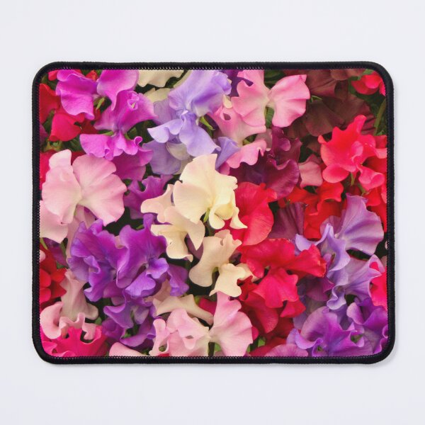 Item preview, Stunning sweet pea flowers in bloom designed and sold by FranWest.