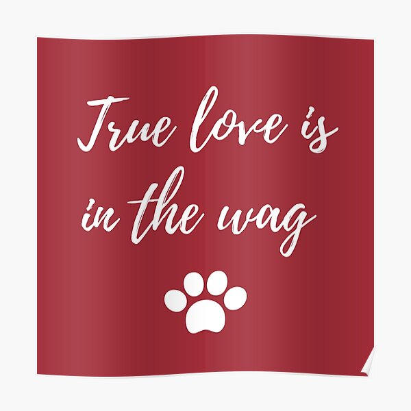 True love is in the wag Poster