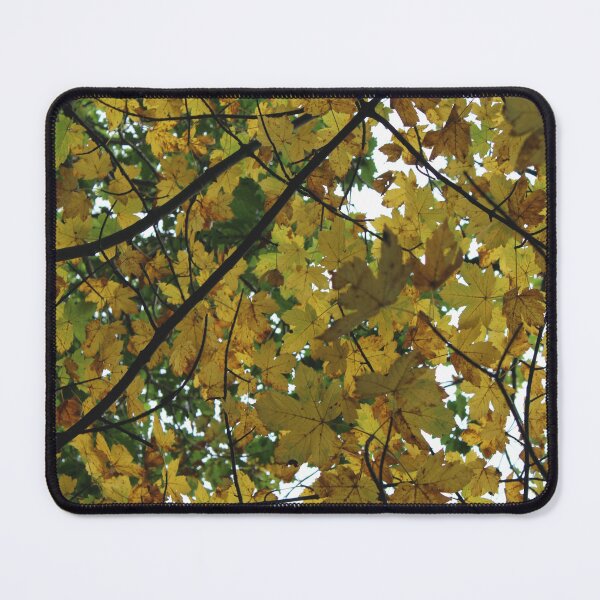 Item preview, autumn colour designed and sold by KathleenDawson.