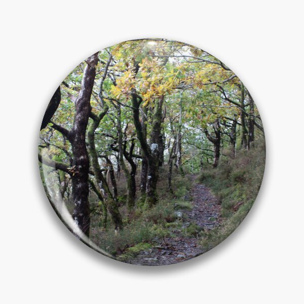 Artikelvorschau, Waldspaziergang entworfen und verkauft von KathleenDawson.