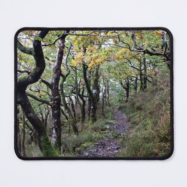 Item preview, woodland walk designed and sold by KathleenDawson.