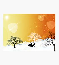 Nature sauvage Photographic Print