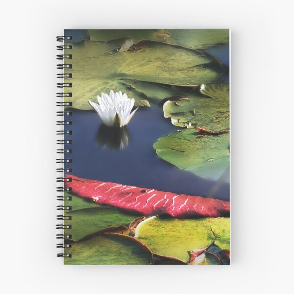 Item preview, Quartet designed and sold by Claude Johnson.