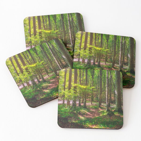 Item preview, Casentino forest. Trees in misty beechwood. Tuscany, Italy. designed and sold by Stefano Orazzini.