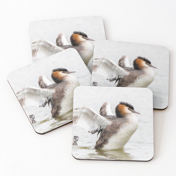 Item preview, Grebe with chick designed and sold by Margriet Photography .