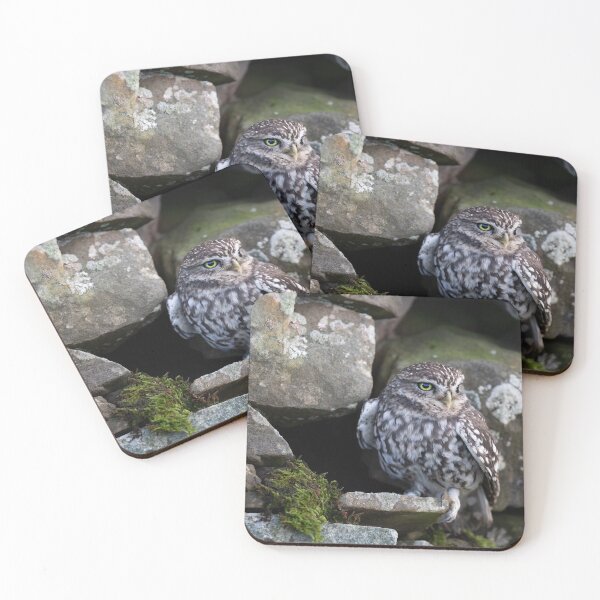 Item preview, Little Owl designed and sold by RedGrouse.