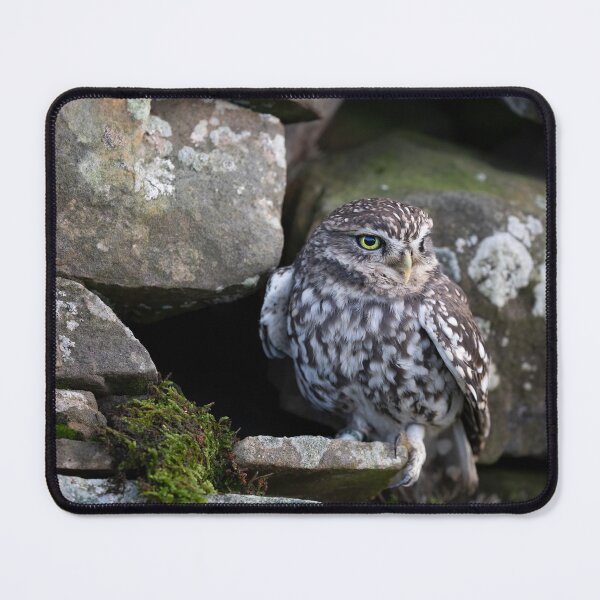 Item preview, Little Owl designed and sold by RedGrouse.
