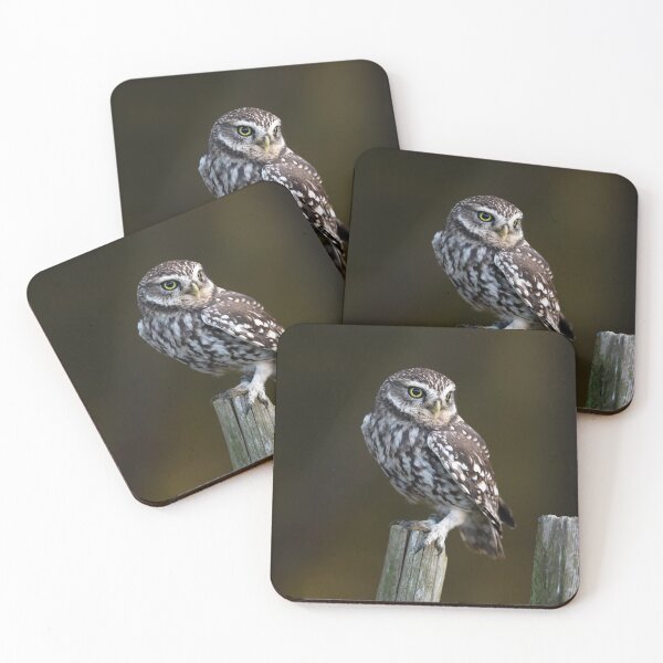 Item preview, Little Owl designed and sold by RedGrouse.