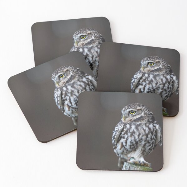 Item preview, Little Owl designed and sold by RedGrouse.