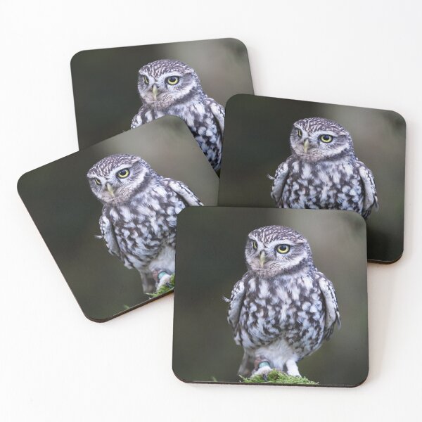 Item preview, Little Owl designed and sold by RedGrouse.