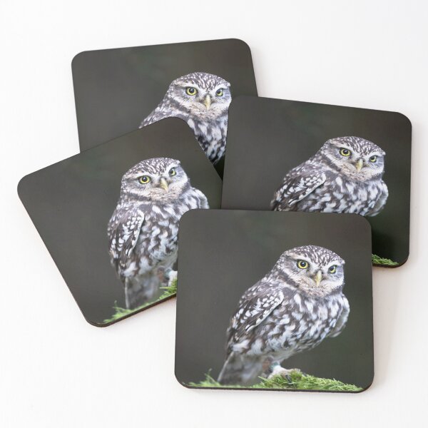 Item preview, Little Owl designed and sold by RedGrouse.