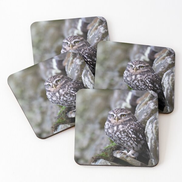 Item preview, Little Owl designed and sold by RedGrouse.