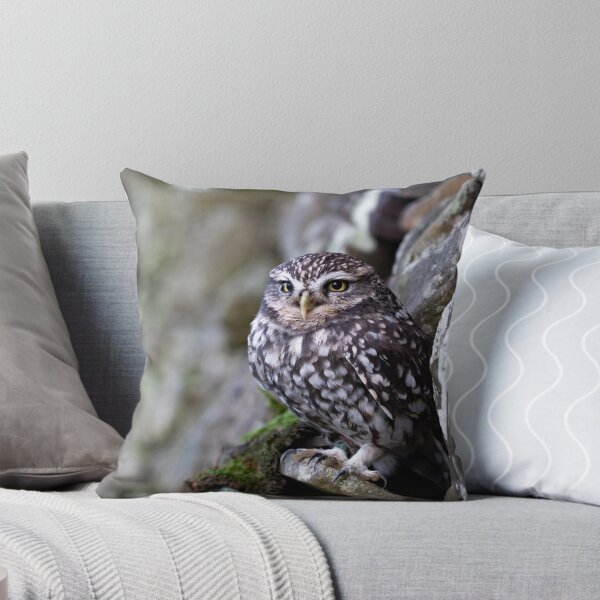 Item preview, Little Owl designed and sold by RedGrouse.