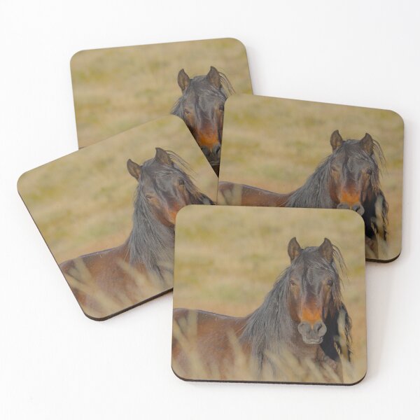 Item preview, Poster Boy Australian Brumby designed and sold by Gabrielle  Lees.