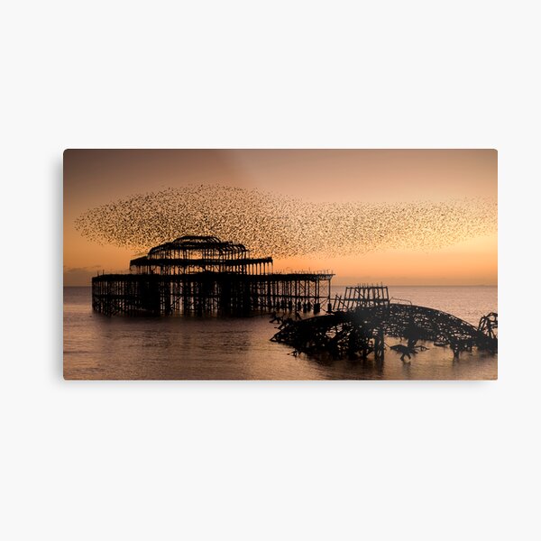 Starlings above West Pier Metal Print