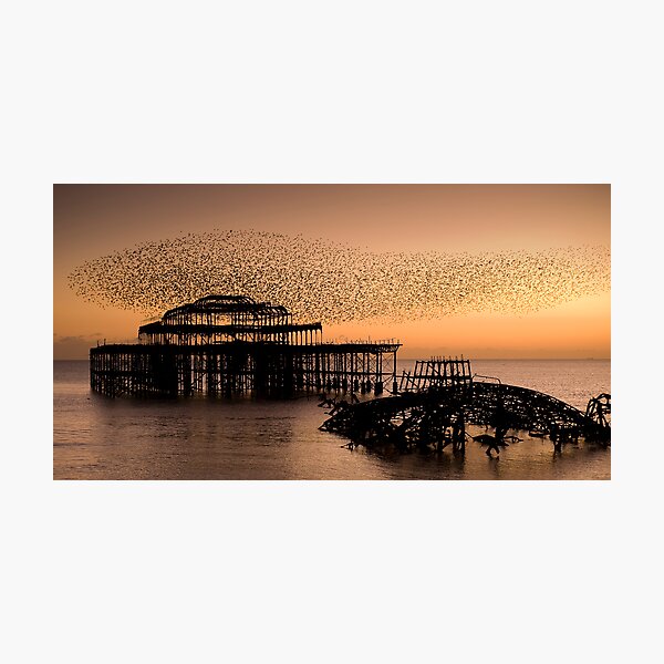 Starlings above West Pier Photographic Print
