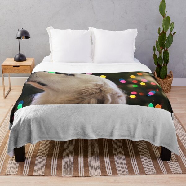 Item preview, celebrate with pets designed and sold by Cuteenhle.