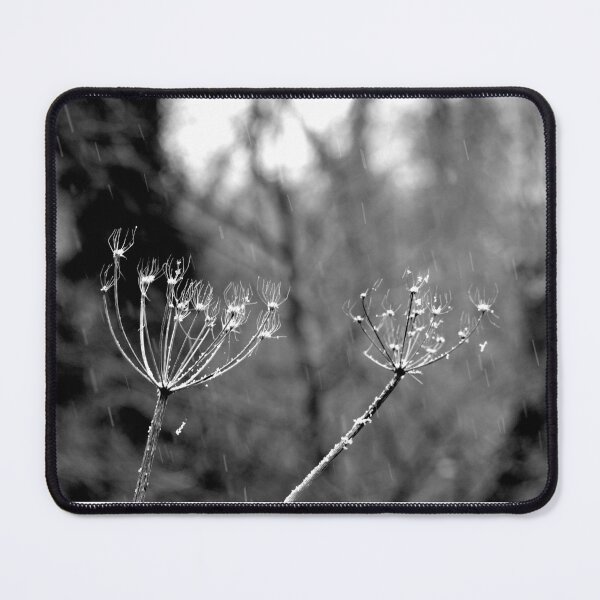 Item preview, Dead Hemlock Water Dropwort in the valley designed and sold by StelleryART.
