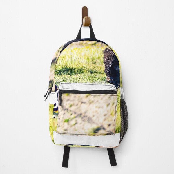 Item preview, Bison at Yellowstone designed and sold by GestaltImagery.