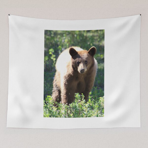 Item preview, Eye Contact designed and sold by Alyce Taylor.
