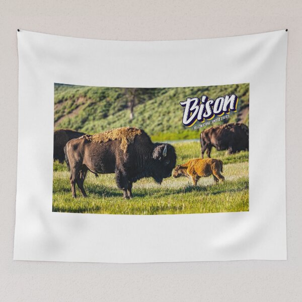 Item preview, Bison at Yellowstone designed and sold by GestaltImagery.