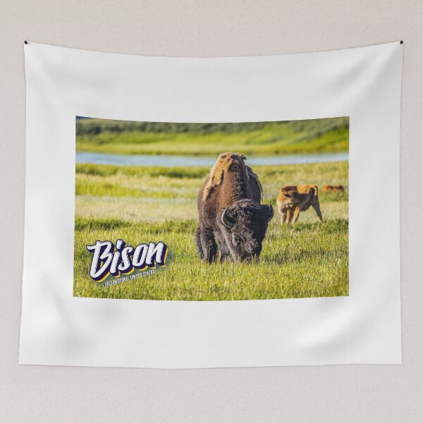 Item preview, Bison at Yellowstone designed and sold by GestaltImagery.