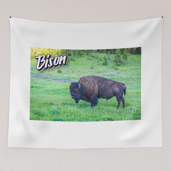 Item preview, Bison at Yellowstone designed and sold by GestaltImagery.
