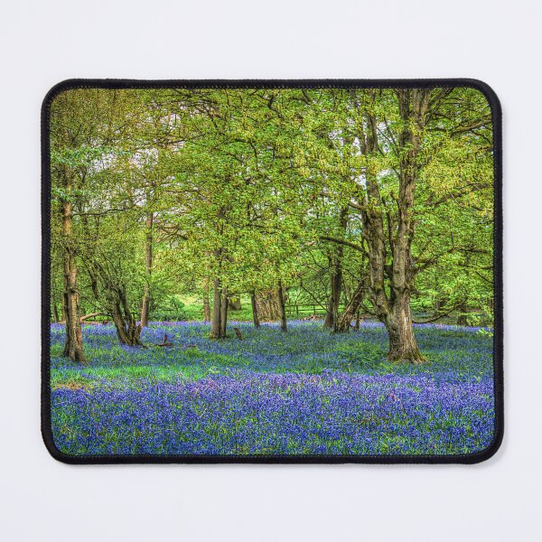 Item preview, Spring Colour designed and sold by Viv Thompson Photography .
