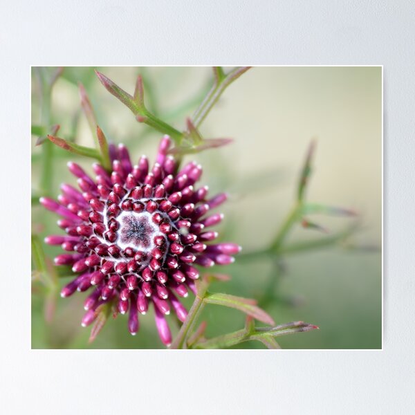 Spokes Poster