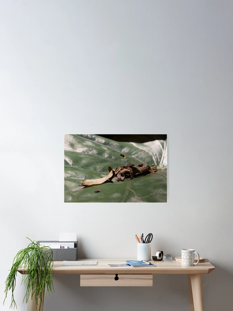 Thumbnail 2 of 3, Poster, Testing designed and sold by Magda Labuda.