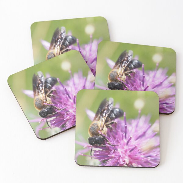 Item preview, Another wild bee gathering nectar designed and sold by Syr'photographies.