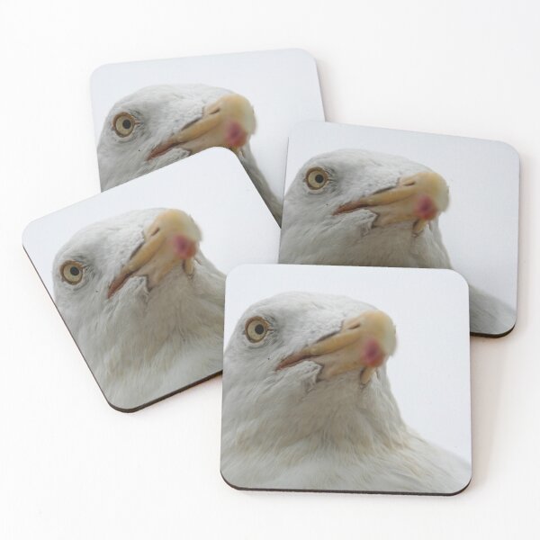 Item preview, European Herring Gull designed and sold by Calidris Fotografie Steffi & Ben Köppler.