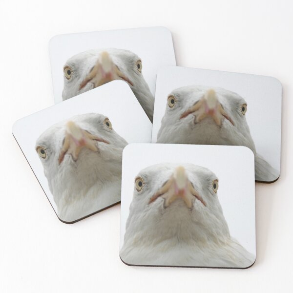 Item preview, European Herring Gull designed and sold by Calidris Fotografie Steffi & Ben Köppler.