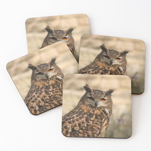 Item preview, Bird of prey giving me the eye designed and sold by GingaDesigns.